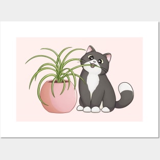 Cat Eating Spider Plant Posters and Art